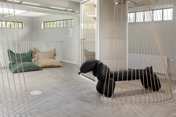 Attackle Bench - Image 15
