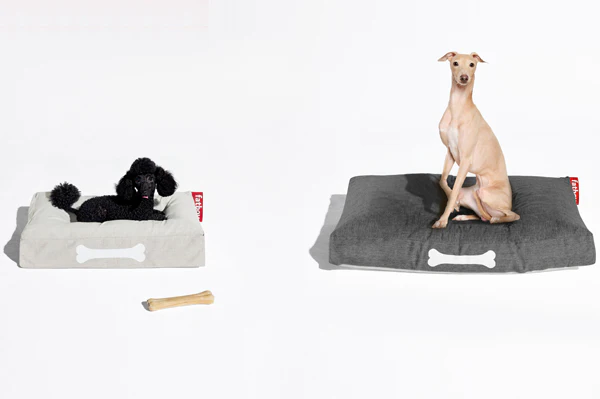 Doggielounge Small Dog Bed (indoor/outdoor) - Image 5